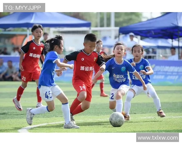 深圳足球队的崛起与挑战探索城市足球的力量与未来发展